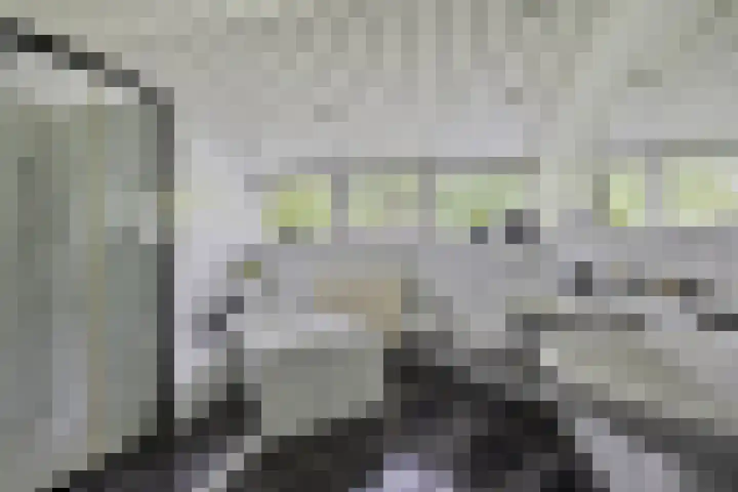 Stuthoflanden 5 Enschede thumbnail 5
