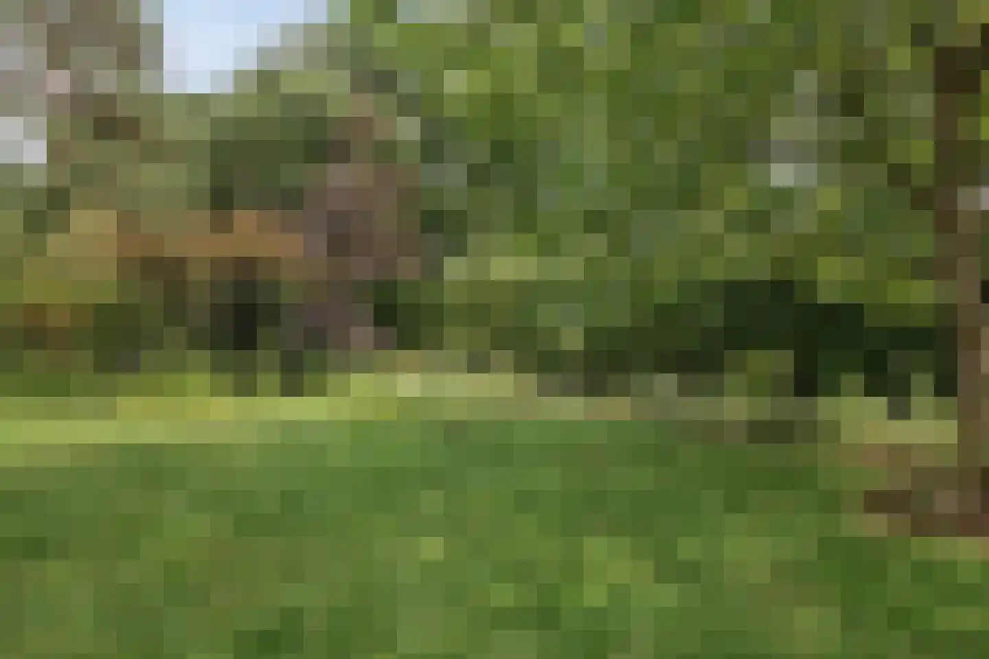 Stuthoflanden 5 Enschede thumbnail 56