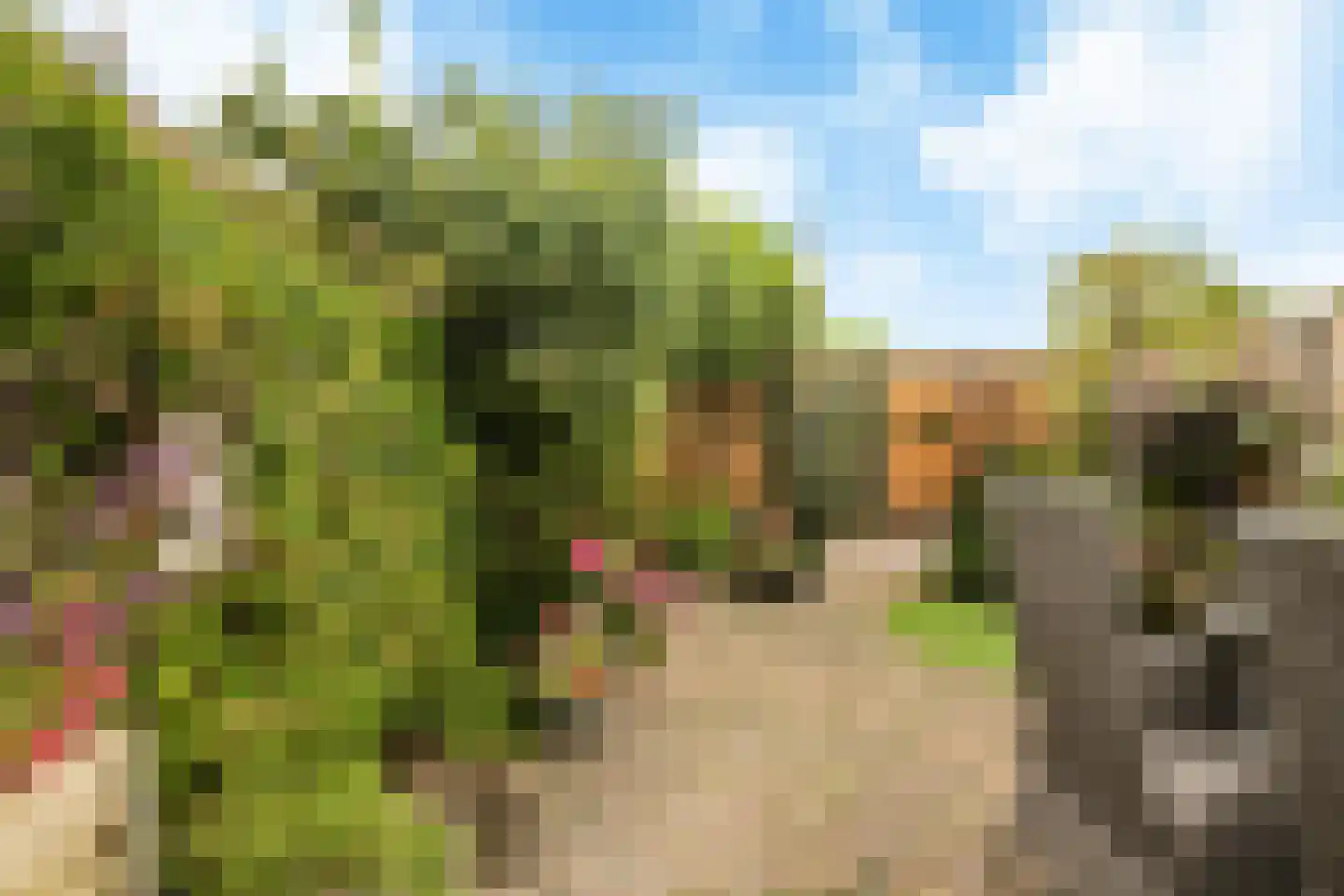 Stuttebos 3 Hoofddorp thumbnail 19