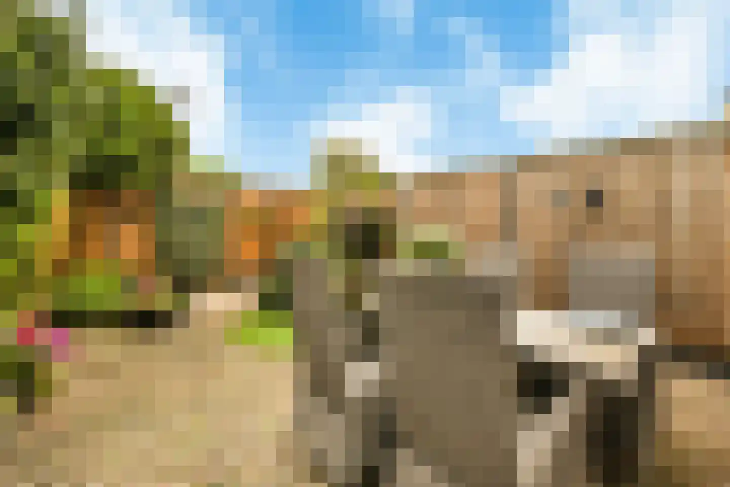 Stuttebos 3 Hoofddorp thumbnail 20