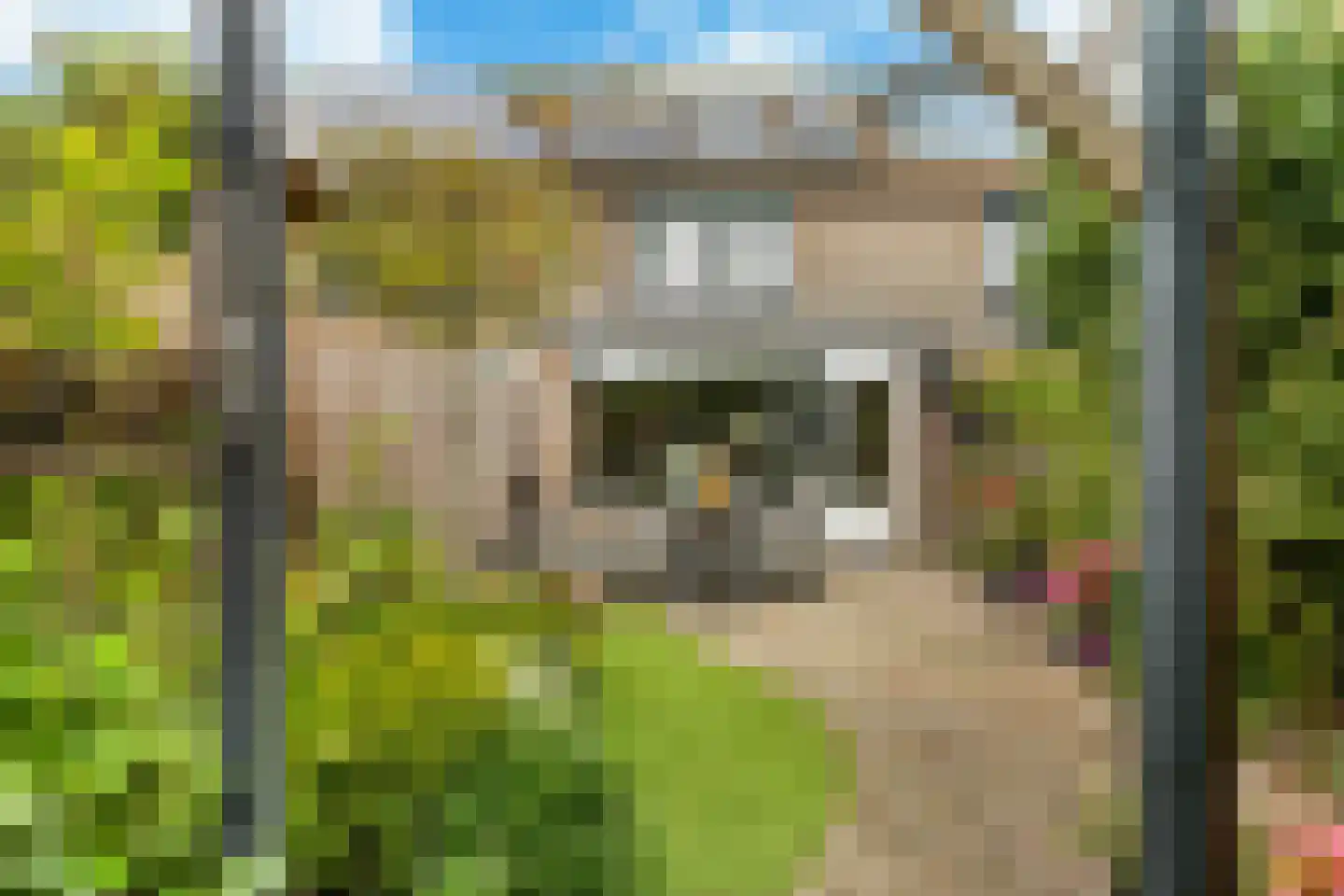 Stuttebos 3 Hoofddorp thumbnail 22