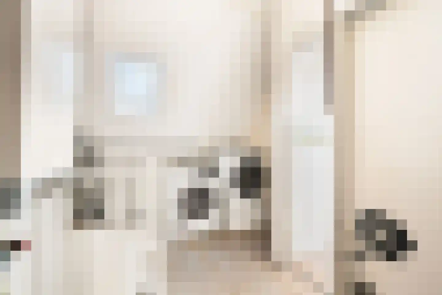Stuttebos 3 Hoofddorp thumbnail 31
