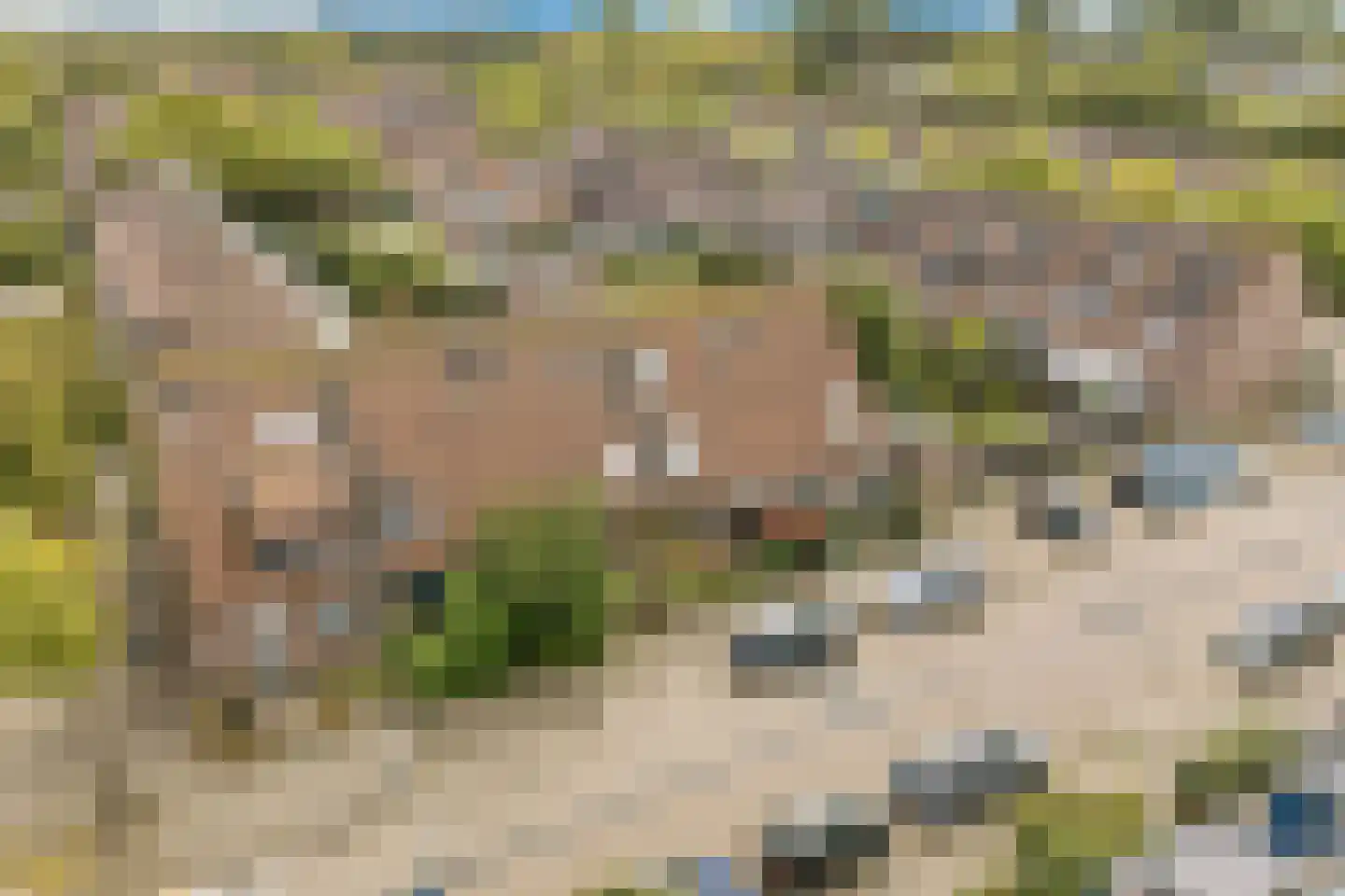 Stuttebos 3 Hoofddorp thumbnail 38