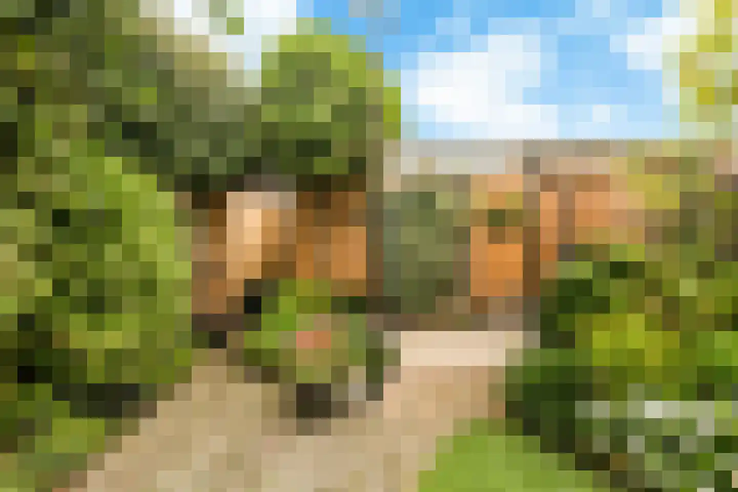 Stuttebos 3 Hoofddorp thumbnail 5