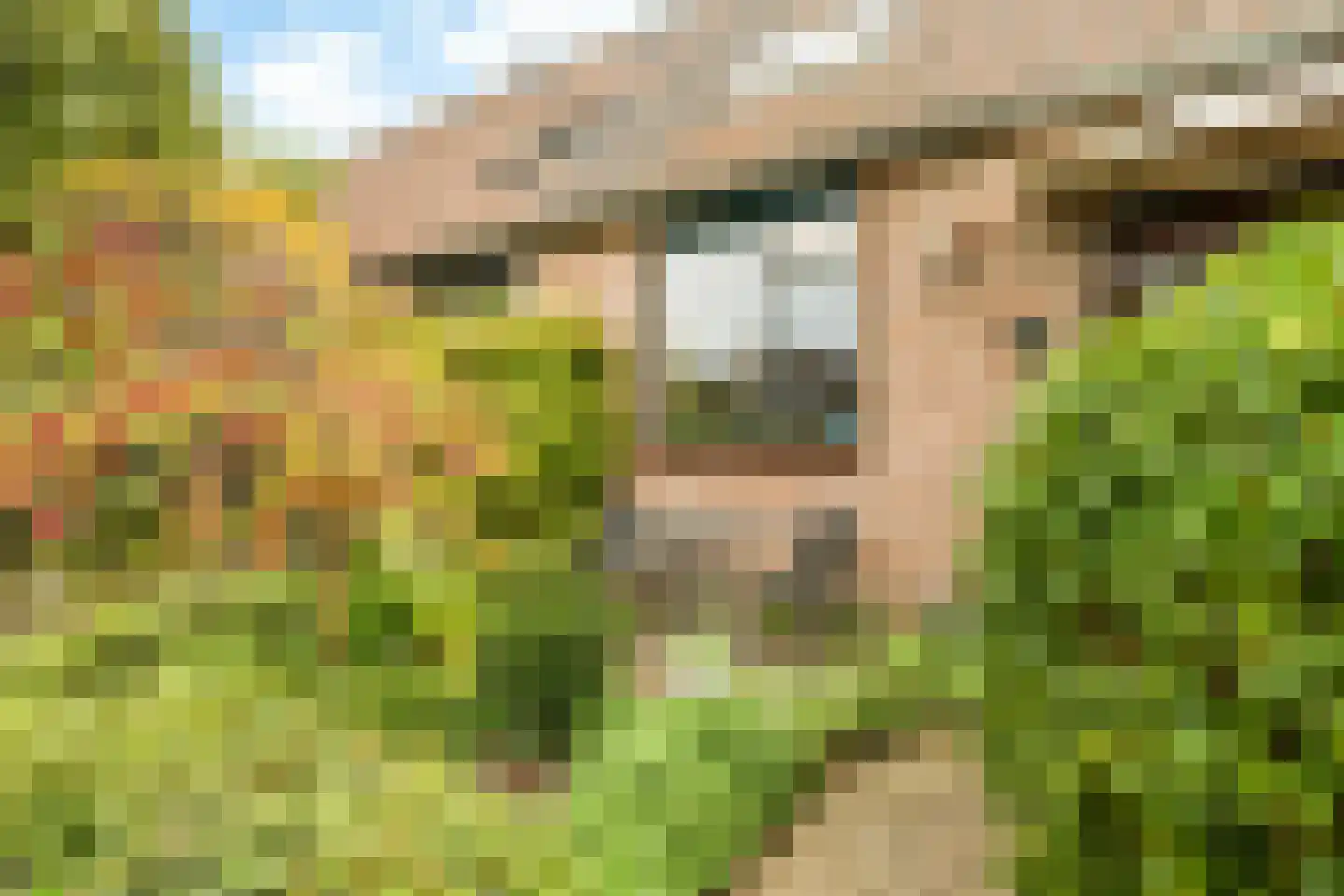 Stuttebos 3 Hoofddorp thumbnail 8