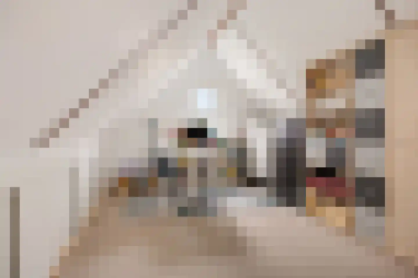 Stuurboord 13 Nieuw-Amsterdam thumbnail 25