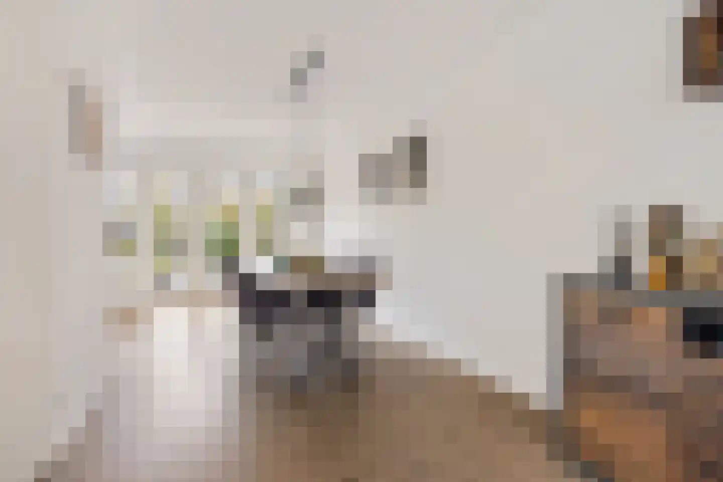 Stuurboord 13 Nieuw-Amsterdam thumbnail 9