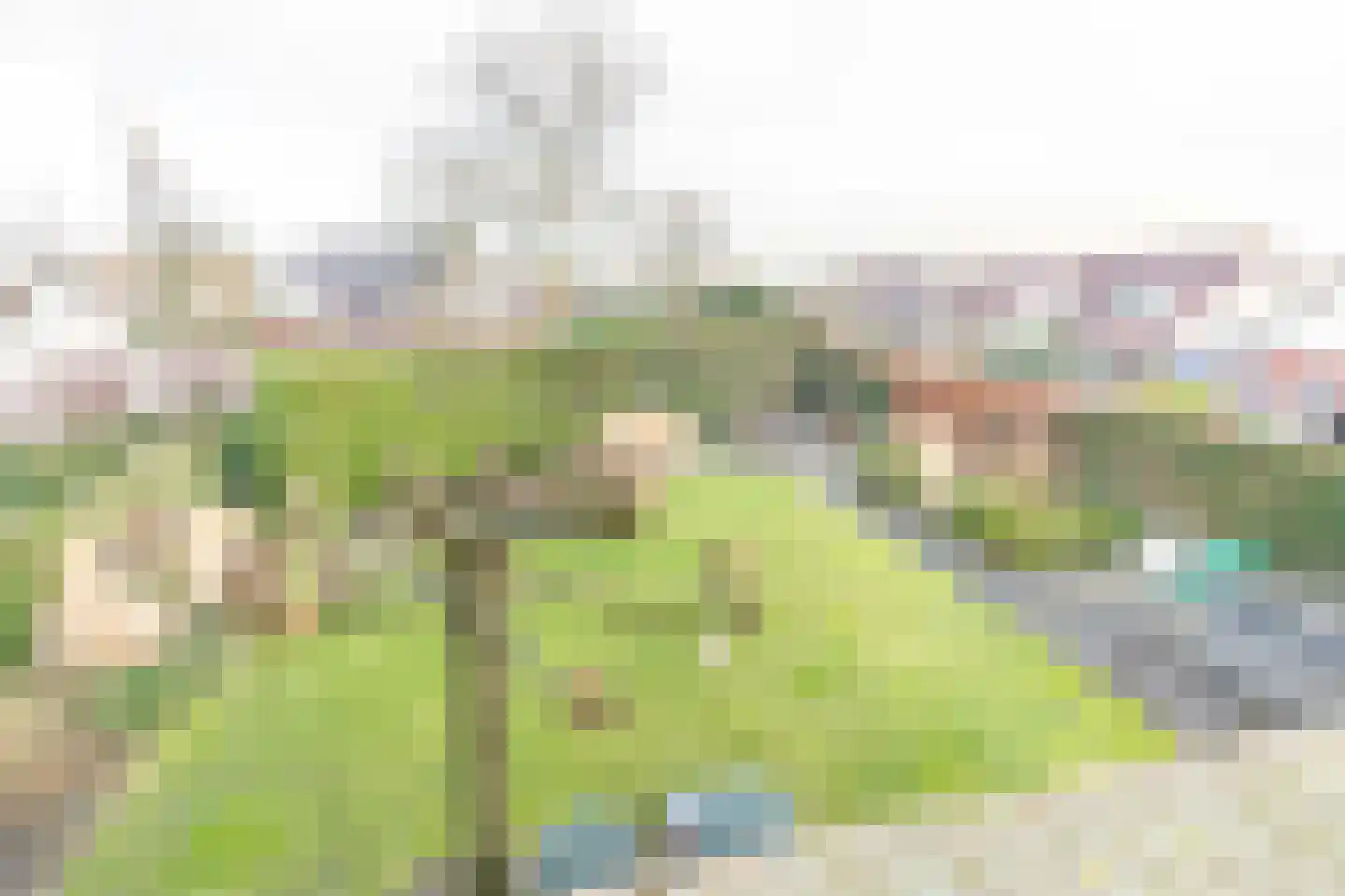 Stuurboord 14 Amersfoort thumbnail 31