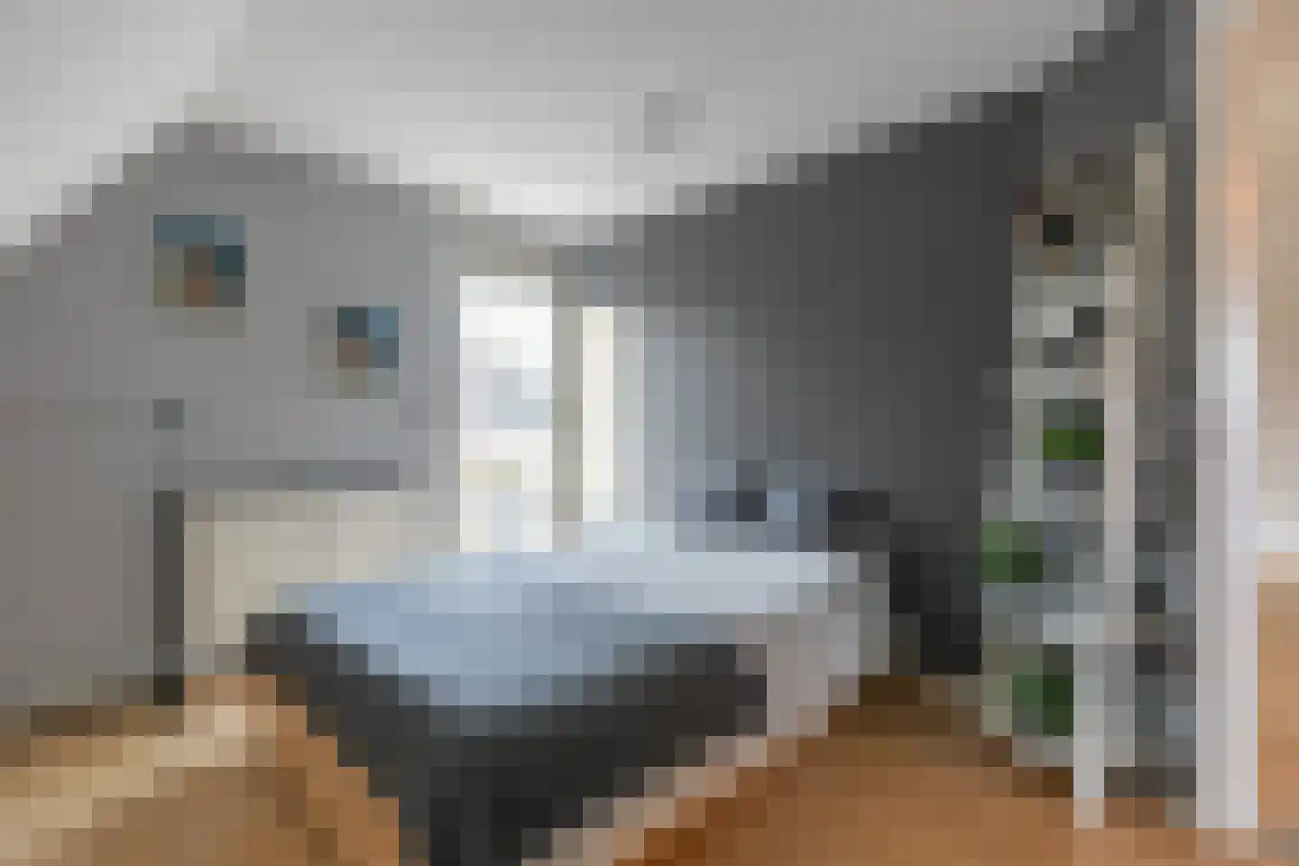 Stuurboord 14 Amersfoort thumbnail 40
