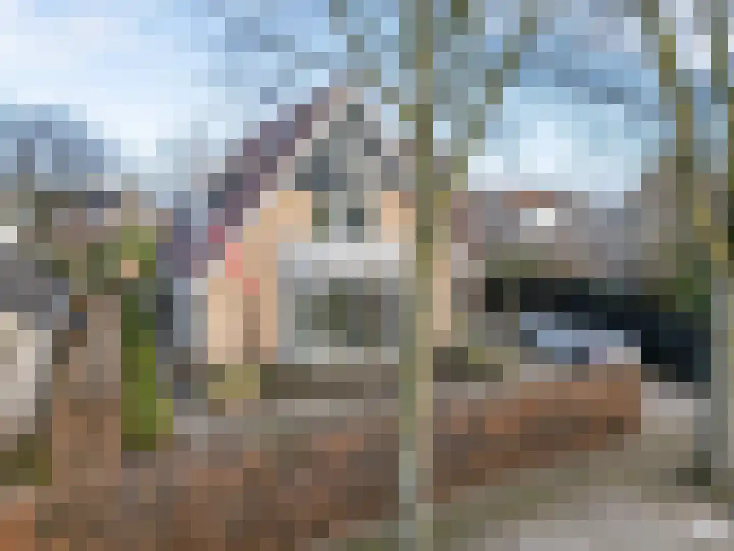 Stuurboord 14 Amersfoort thumbnail 5