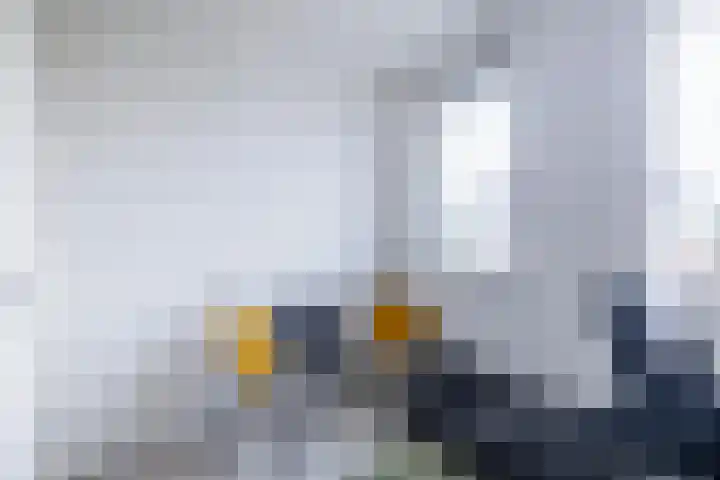 Stuurboord 18 Meppel thumbnail 25
