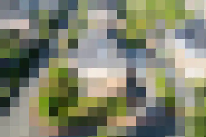 Stuurboord 18 Meppel thumbnail 33