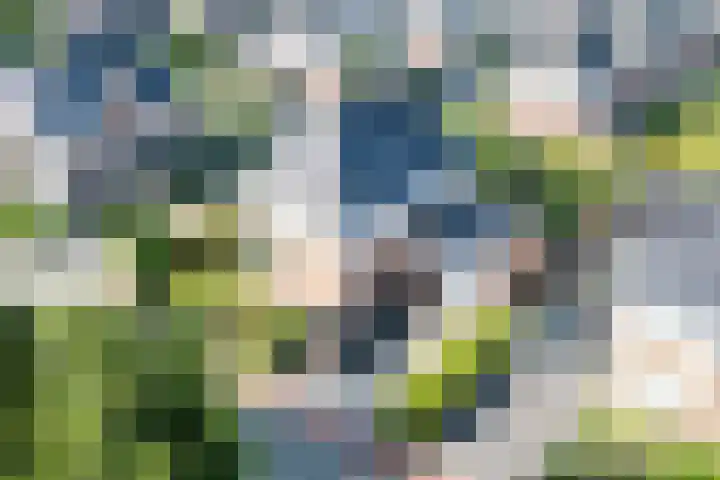 Stuurboord 18 Meppel thumbnail 34