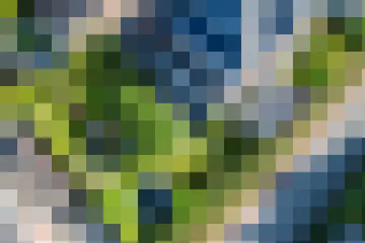 Stuurboord 18 Meppel thumbnail 35