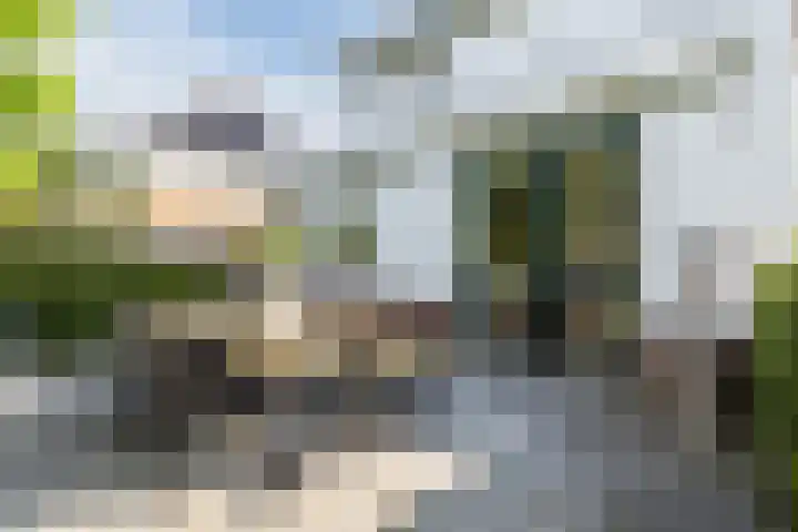 Stuurboord 18 Meppel thumbnail 38
