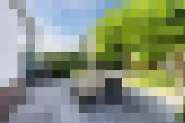 Stuurboord 18 Meppel thumbnail 39