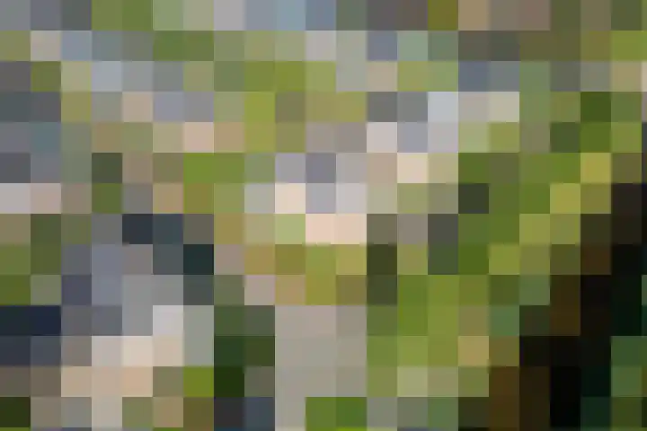 Stuurboord 18 Meppel thumbnail 4