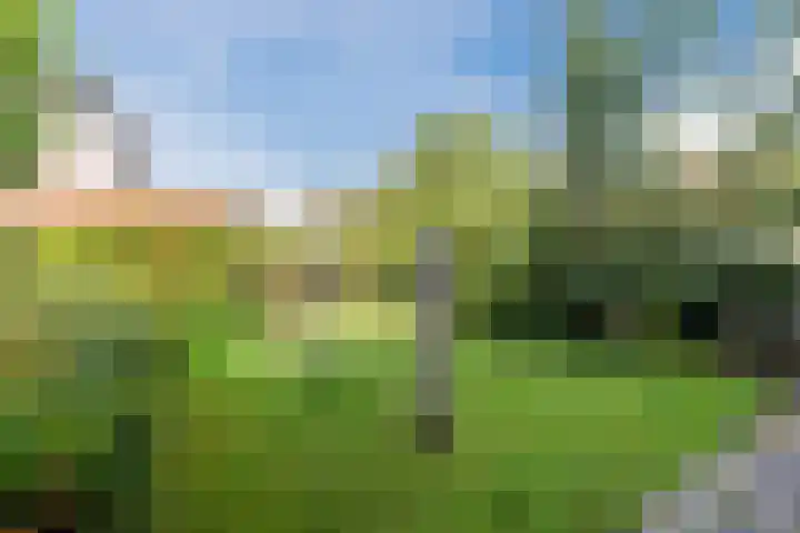 Stuurboord 18 Meppel thumbnail 41