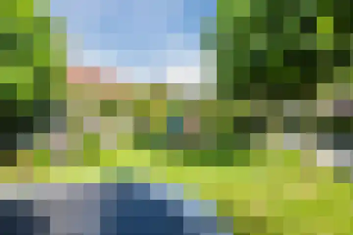 Stuurboord 18 Meppel thumbnail 42