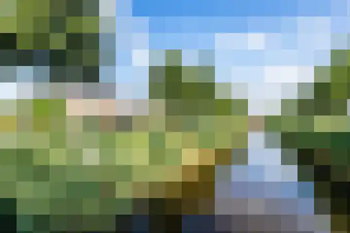 Stuurboord 18 Meppel thumbnail 44