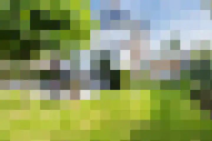 Stuurboord 18 Meppel thumbnail 5