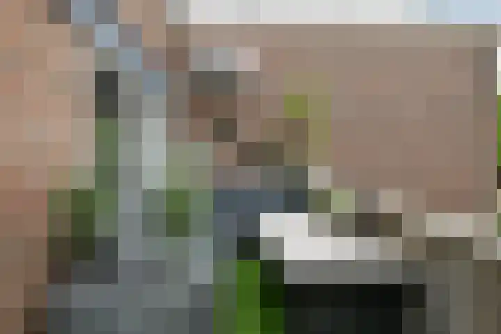 Stuurboord 22 b Huissen thumbnail 16