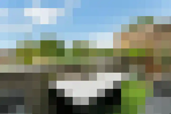 Stuurboord 22 b Huissen thumbnail 17