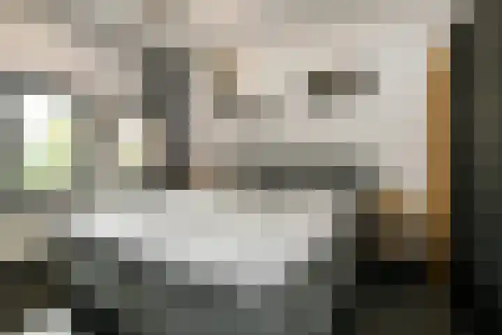 Stuurboord 22 b Huissen thumbnail 19