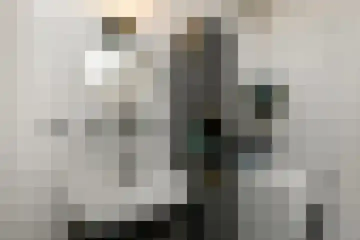 Stuurboord 22 b Huissen thumbnail 23