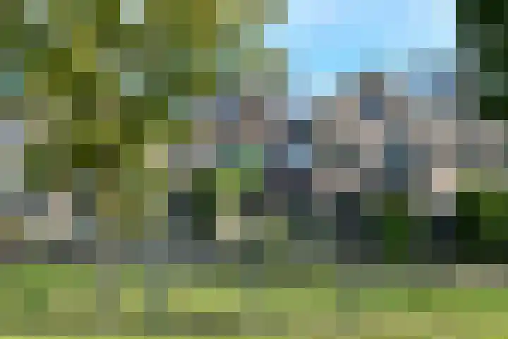 Stuurboord 22 b Huissen thumbnail 24