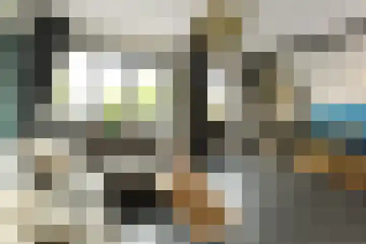 Stuurboord 22 b Huissen thumbnail 5