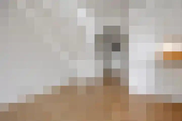 Stuurboord 22 c Huissen thumbnail 11
