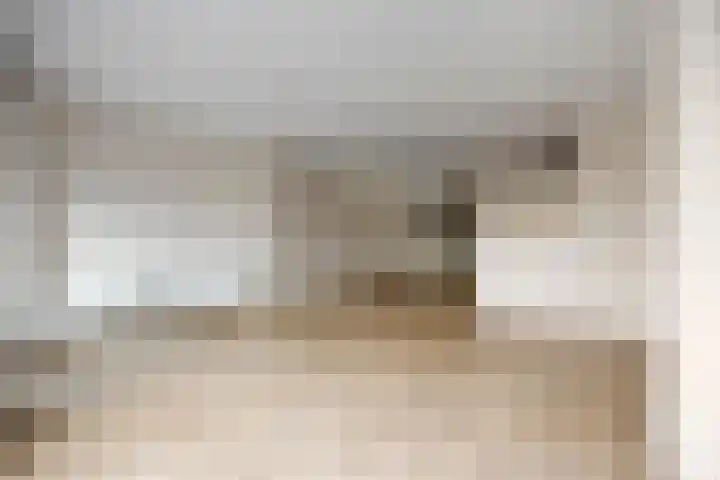 Stuurboord 22 c Huissen thumbnail 13