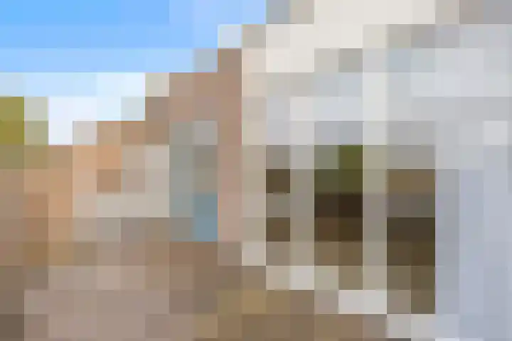 Stuurboord 22 c Huissen thumbnail 16