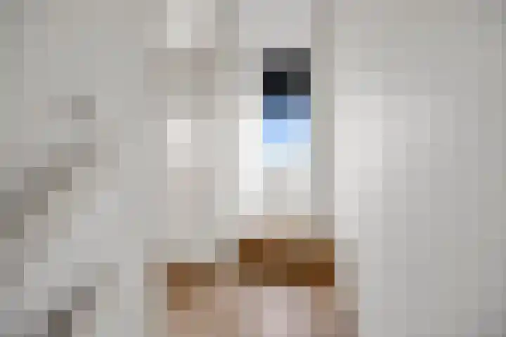 Stuurboord 22 c Huissen thumbnail 26