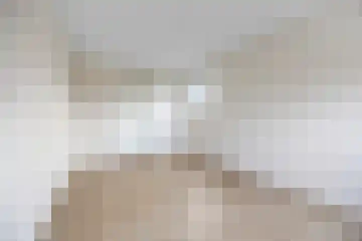 Stuurboord 22 c Huissen thumbnail 30
