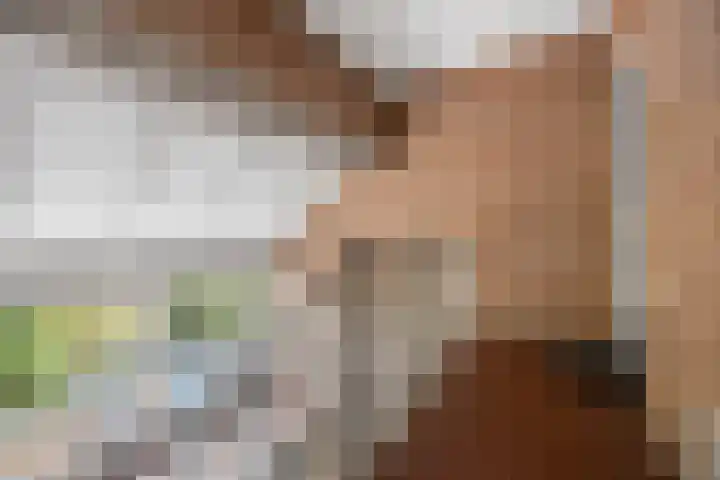 Stuurboord 22 c Huissen thumbnail 6