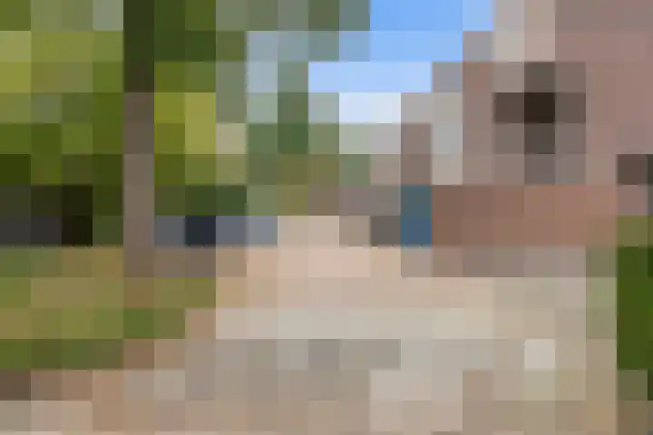 Stuurboord 22 c Huissen thumbnail 7