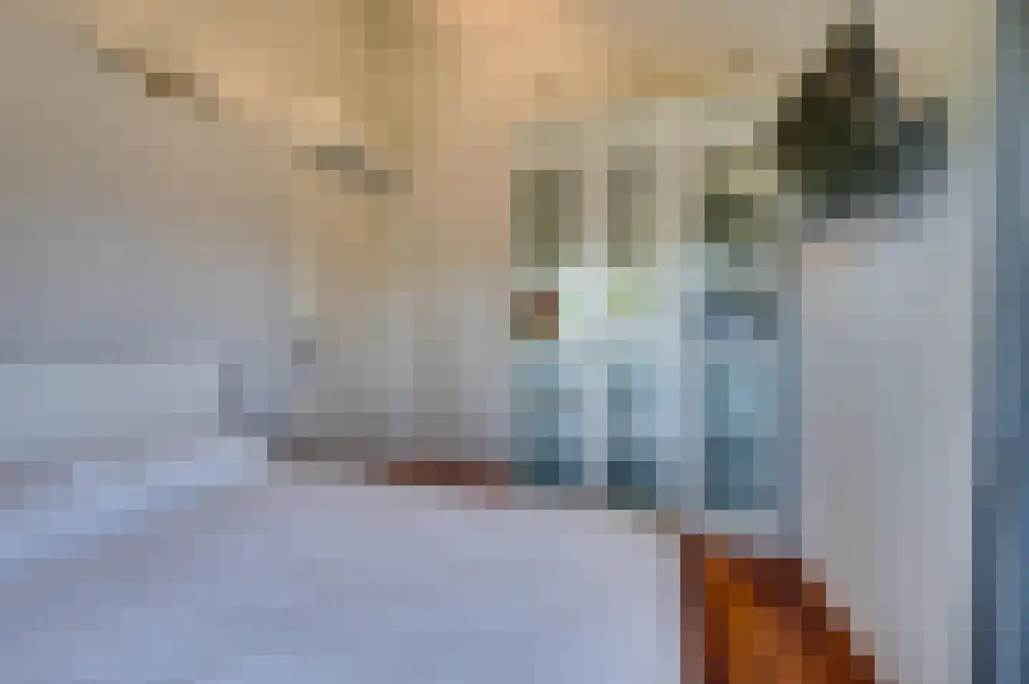 Stuurboord 26 Capelle aan den IJssel thumbnail 38