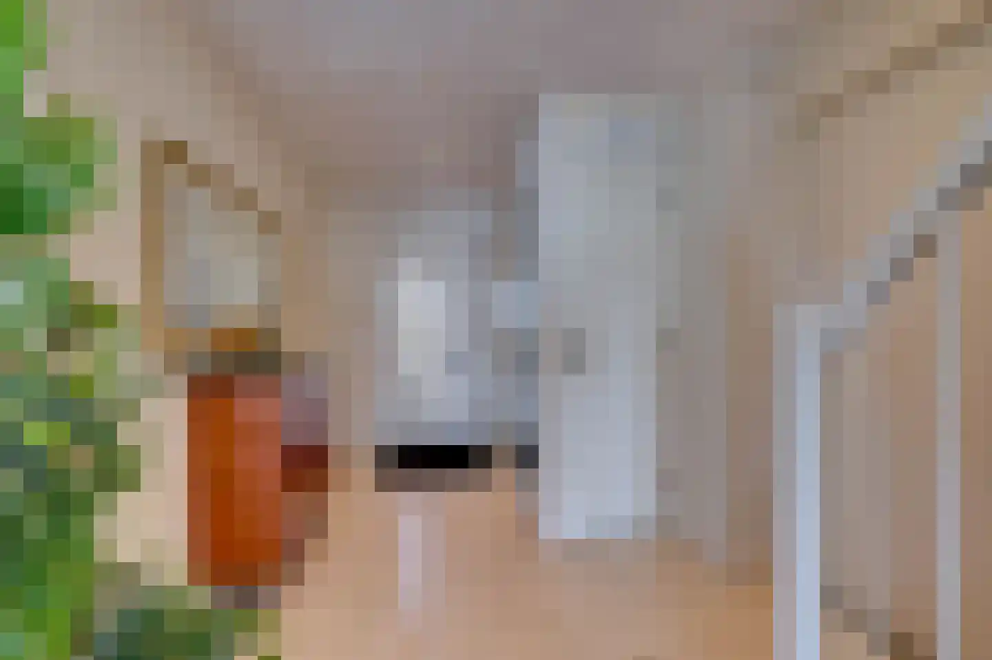 Stuurboord 26 Capelle aan den IJssel thumbnail 8