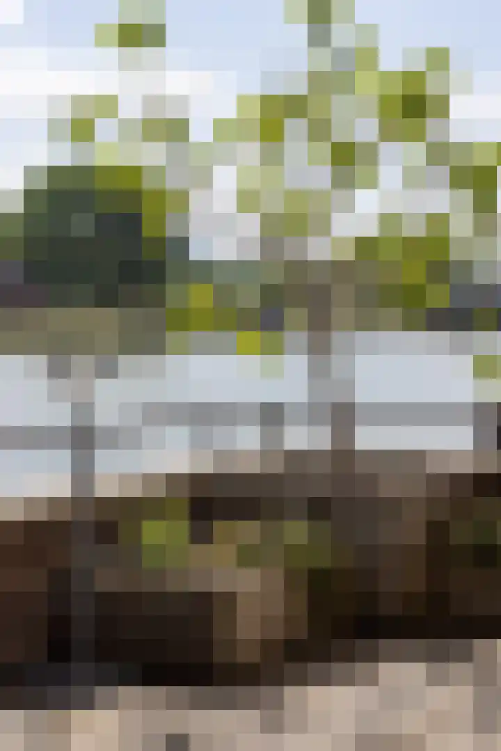 Stuurboord 28 Capelle aan den IJssel thumbnail 30