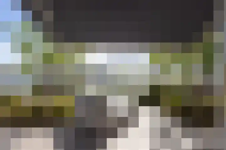 Stuurboord 28 Capelle aan den IJssel thumbnail 4