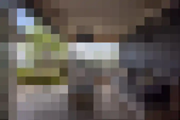 Stuurboord 28 Capelle aan den IJssel thumbnail 43