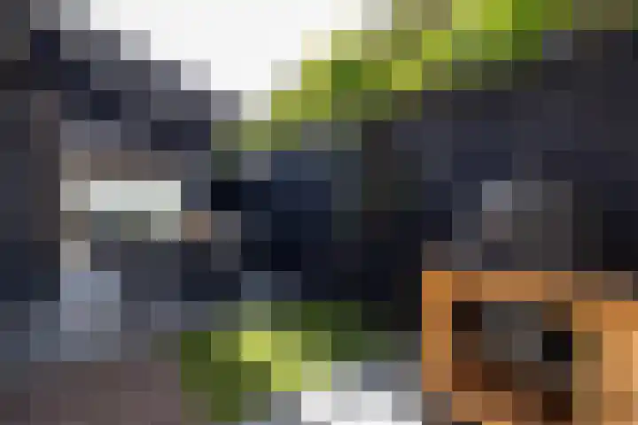 Stuurboord 28 Capelle aan den IJssel thumbnail 47