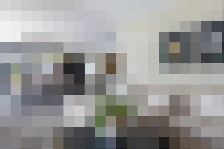 Stuurboord 28 Capelle aan den IJssel thumbnail 6
