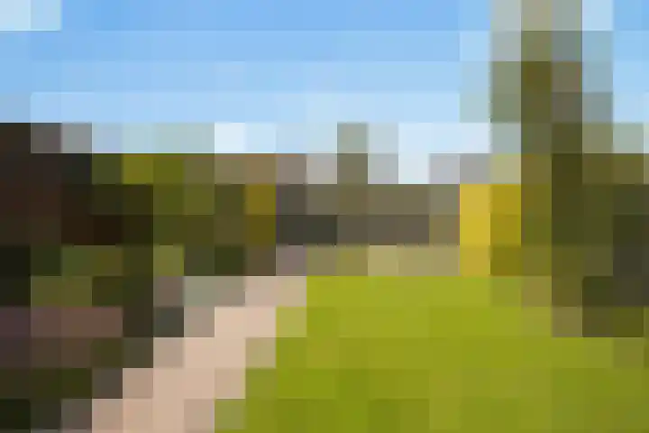 Stuurboord 30 Rijsenhout thumbnail 11