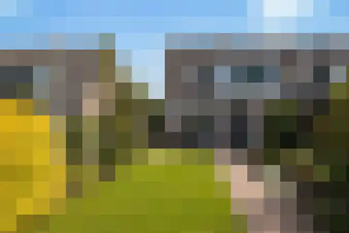 Stuurboord 30 Rijsenhout thumbnail 12