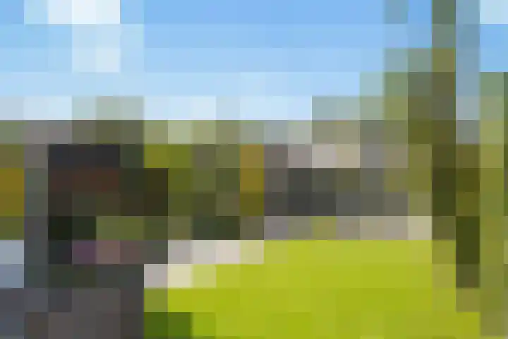 Stuurboord 30 Rijsenhout thumbnail 28