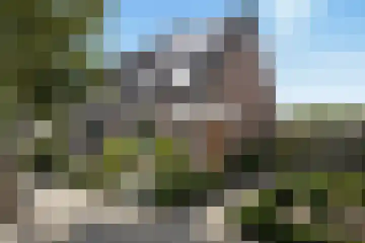 Stuurboord 30 Rijsenhout thumbnail 39