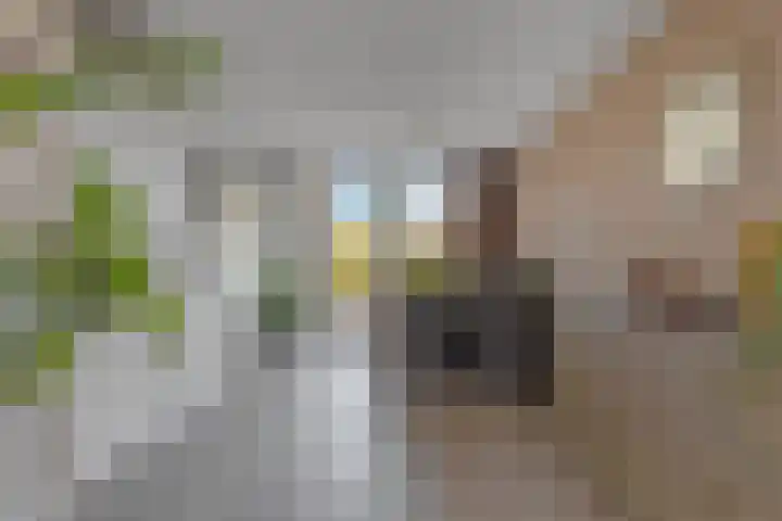 Stuurboord 30 Rijsenhout thumbnail 4